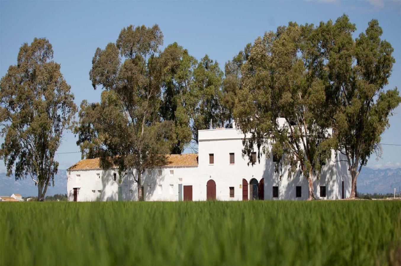 Mas Illa De Riu - Autentica Masia Del Delta Del Ebro Con Capacidad Para 20 Personas - Deltavacaciones サント・ハウメ・デンヴェハ エクステリア 写真