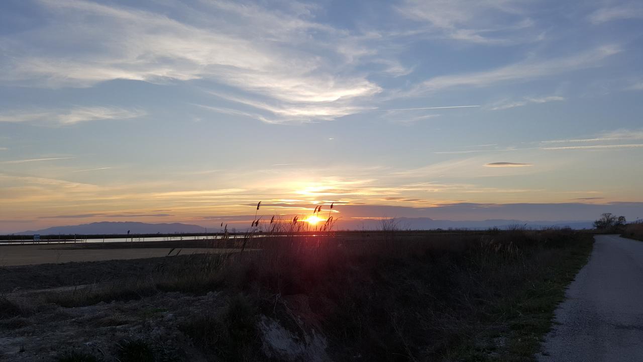 Mas Illa De Riu - Autentica Masia Del Delta Del Ebro Con Capacidad Para 20 Personas - Deltavacaciones サント・ハウメ・デンヴェハ エクステリア 写真
