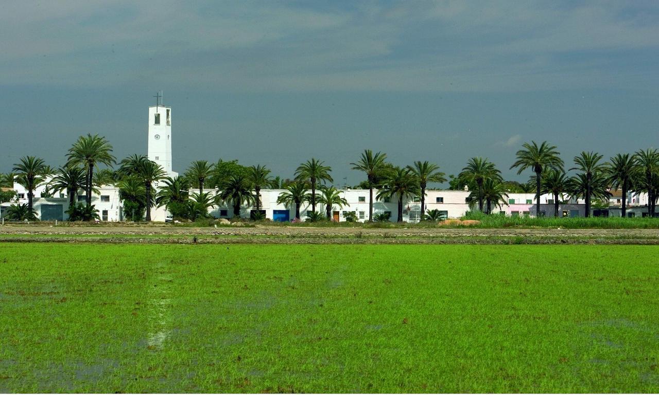 Mas Illa De Riu - Autentica Masia Del Delta Del Ebro Con Capacidad Para 20 Personas - Deltavacaciones サント・ハウメ・デンヴェハ エクステリア 写真