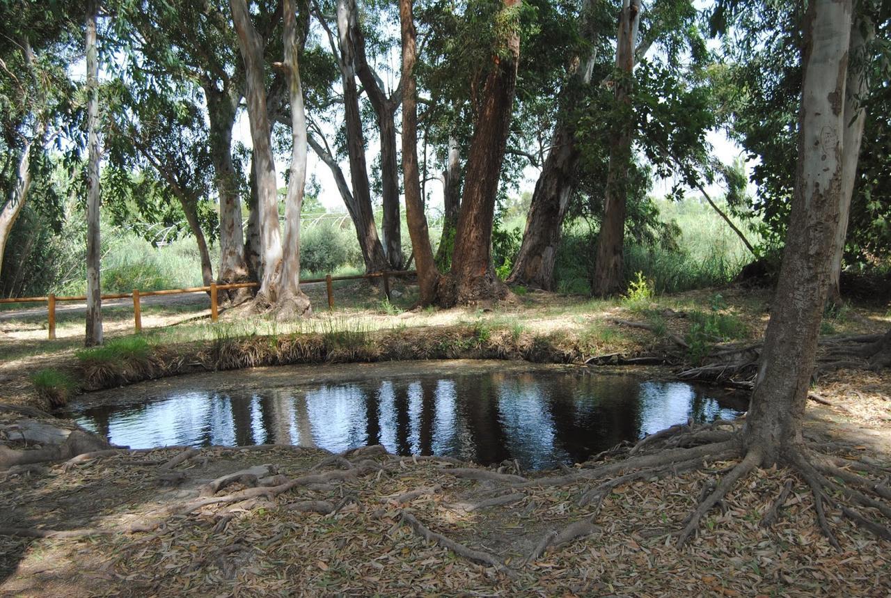 Mas Illa De Riu - Autentica Masia Del Delta Del Ebro Con Capacidad Para 20 Personas - Deltavacaciones サント・ハウメ・デンヴェハ エクステリア 写真